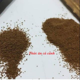 Cám padora back 50g, 100g