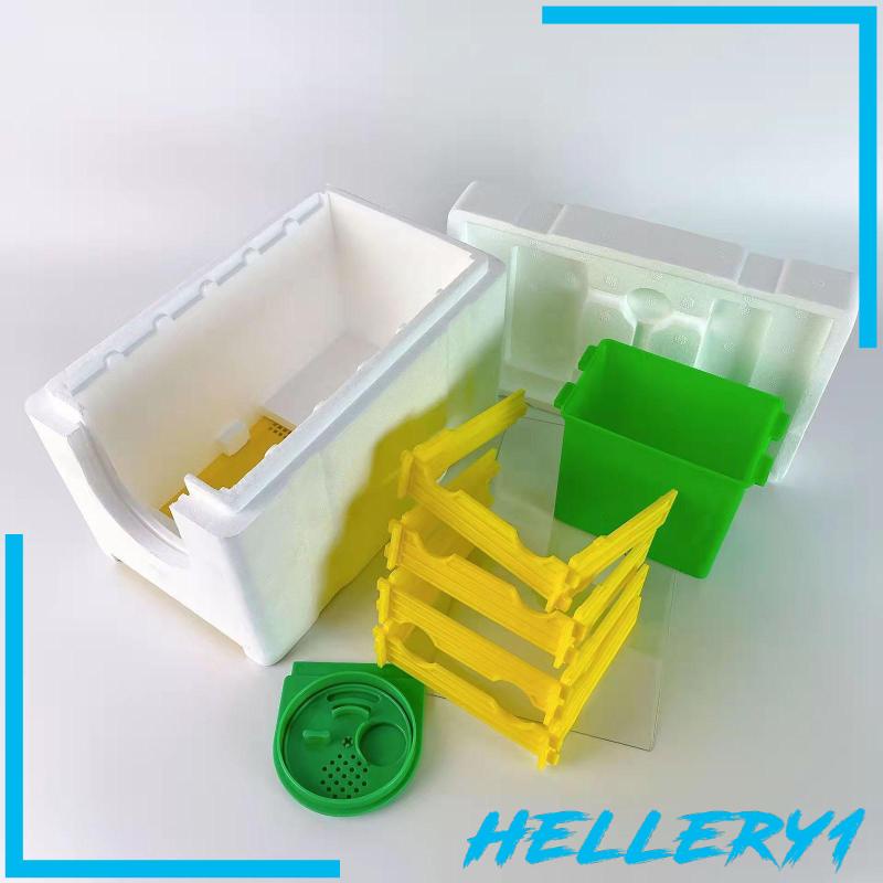 Hộp Nuôi Ong Chúa Breeding Queen Bee 1