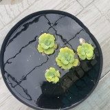 Thùng Nhựa Dẻo màu Đèn Thích Hợp Nuôi Cá, Tách Cá Đẻ và Form Cá. Kích Thước Cao 27cm, Đường Kính 32cm