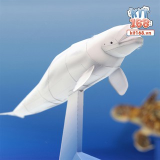 Mô hình giấy động vật Cá Voi Trắng