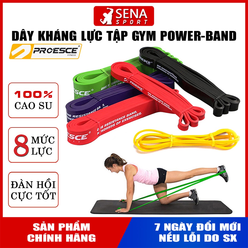 DÂY CAO SU KHÁNG LỰC HỖ TRỢ TẬP GYM TOÀN THÂN - CHÍNH HÃNG PROESCE