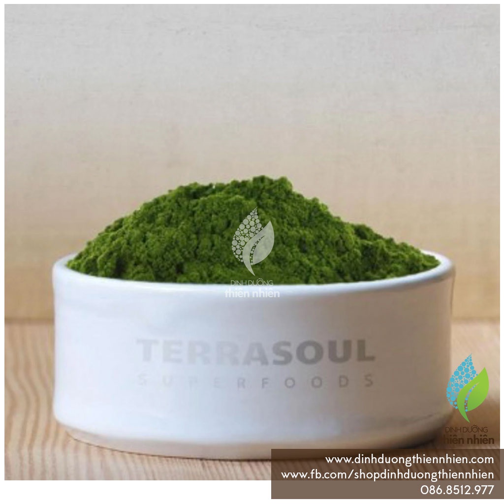 [40g] Bột Nước Ép Cỏ Lúa Mì Terrasoul Organic Wheat Grass Juice Powder