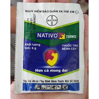 Thuốc Trừ Bệnh cây trồng NATIVO 750 WG -6GR