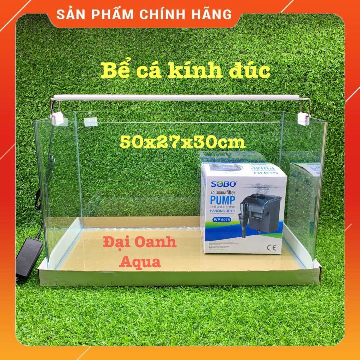 Bể Cá Kính Đúc Bo Góc 50cm, Dài 50cm Rộng 27cm Cao 30cm - Bể Cá Cảnh Thủy Sinh