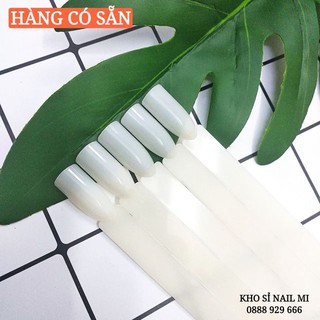 Móng test chùm vuông, móng que test sơn chuyên dụng