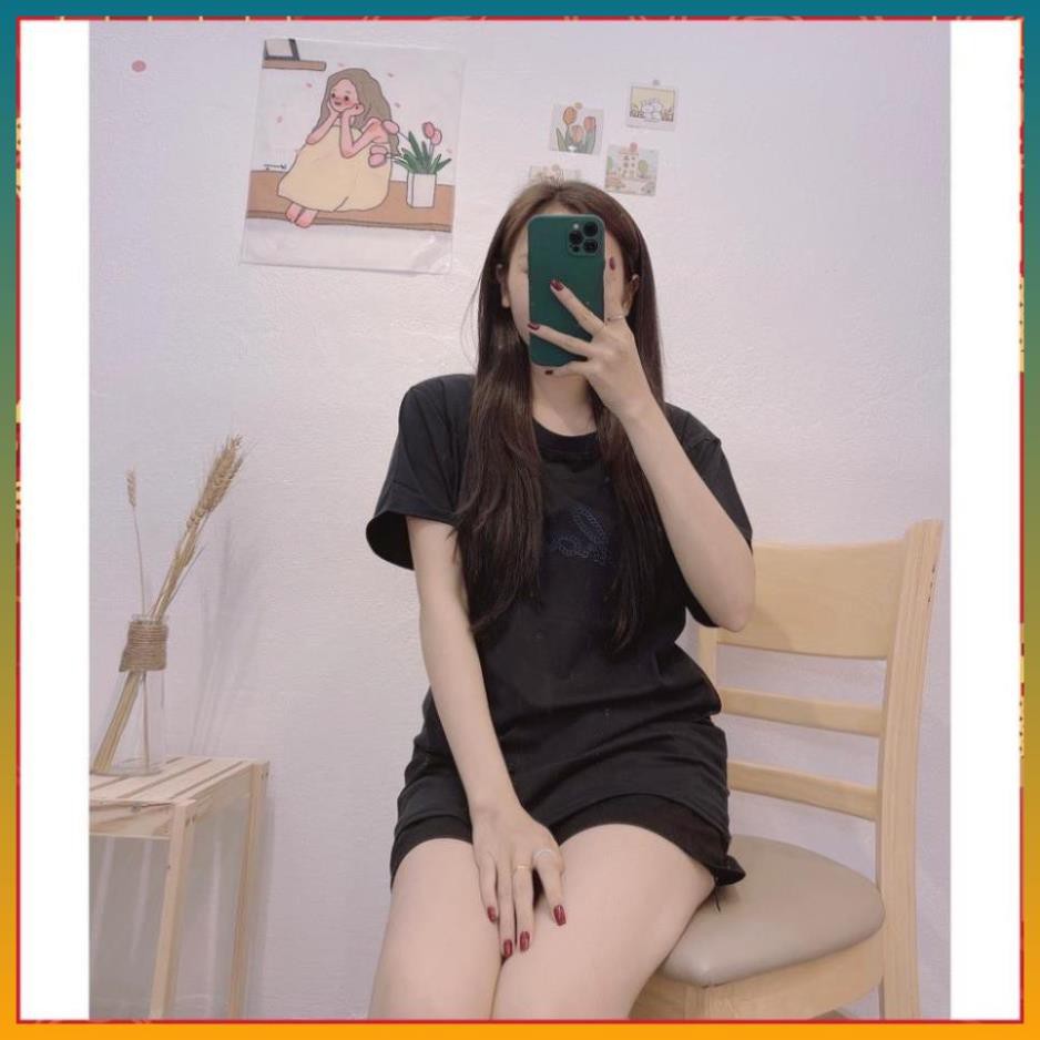 [FREE SHIP] Áo Phông Nữ, Áo Thun Nữ Chữ Thêu Chất Cotton Hàng QC Siêu Mát | BigBuy360 - bigbuy360.vn