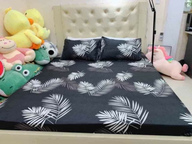 Bộ ga gối poly cotton pari