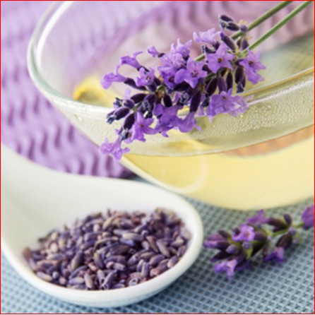 HOA OẢI HƯƠNG  LAVENDER ĐÓNG HỘP THỂ TÍCH 500ML CAO CẤP