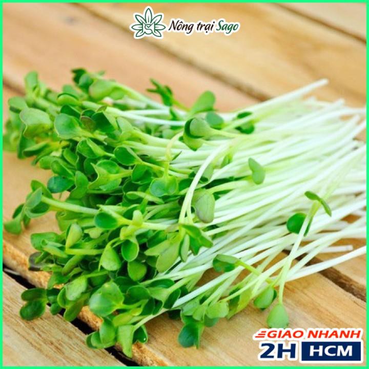 Hạt giống Rau Mầm Củ Cải Trắng Dễ Trồng, Nhanh Thu Hoạch (gói 50 gr) - Nông Trại Sago