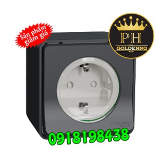 Ổ cắm đơn 16a 2p+e mureva mur36034 schneider
