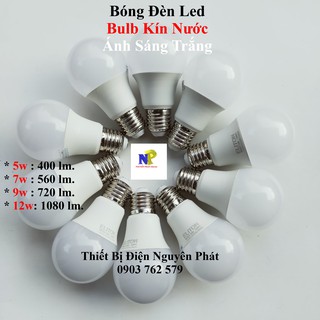 [ELITON] Bóng Đèn Led Bulb 5w,7w,9w,12w Siêu Sáng Kín Nước - Tiết Kiệm Điện Năng (Ánh Sáng Trắng)