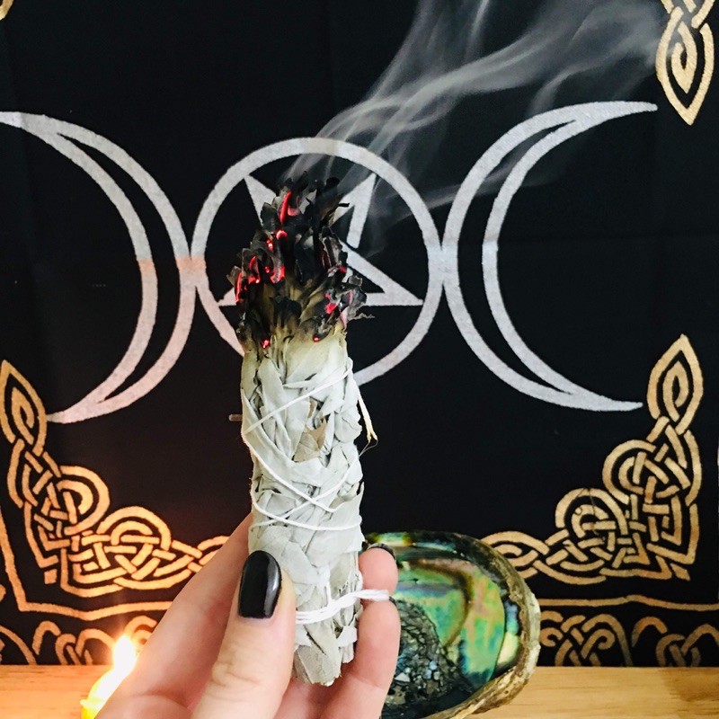 Xô thơm trắng - California White Sage - Dùng thanh tẩy