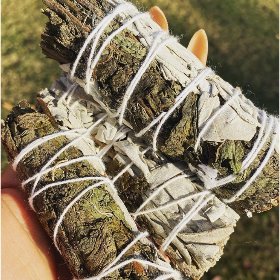 Xô thơm Lá Bạc Hà (White Sage & Peppermint) Giảm Căng Thẳng & Loại Bỏ Tiêu Cực l XÔ THƠM THANH TẨY | BigBuy360 - bigbuy360.vn