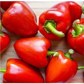 Hạt giống ớt ngọt Sweet pepper /Healthy