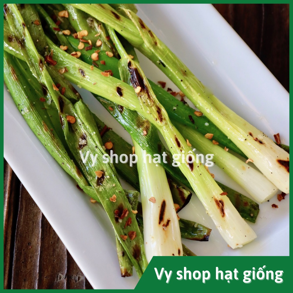 Hạt giống hành lá Bunching cọng to Thái Lan nguyên gói 350 hạt