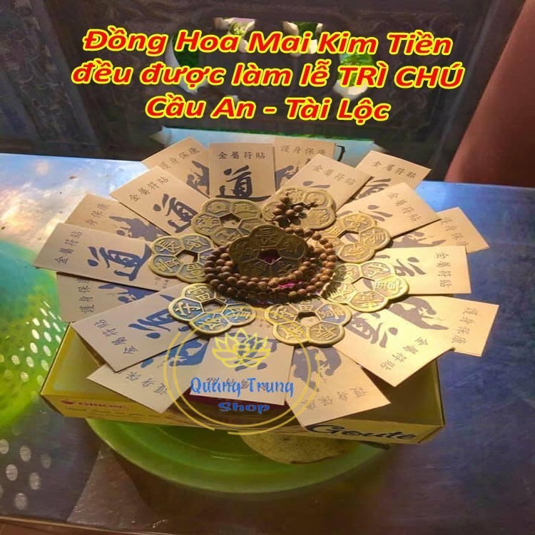 Đồng Tiền Hoa Mai ⭐FREESHIP⭐ Kim Tiền Tài Lộc | BigBuy360 - bigbuy360.vn