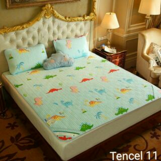 Chiếu teccel chuẩn m6*2m