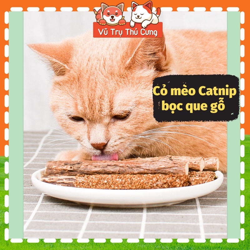 Cỏ mèo bọc que gỗ, giúp mèo thư giãn và gặm sạch răng