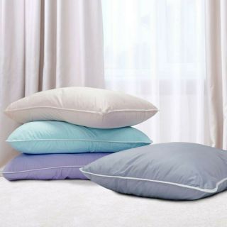 Gối Everon 5s kích thước 50*70 ( được chọn màu)