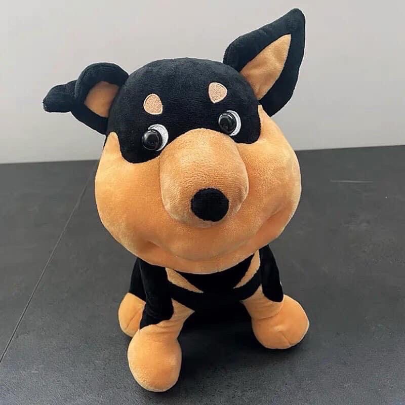 Chú chó bị ong đốt🐝