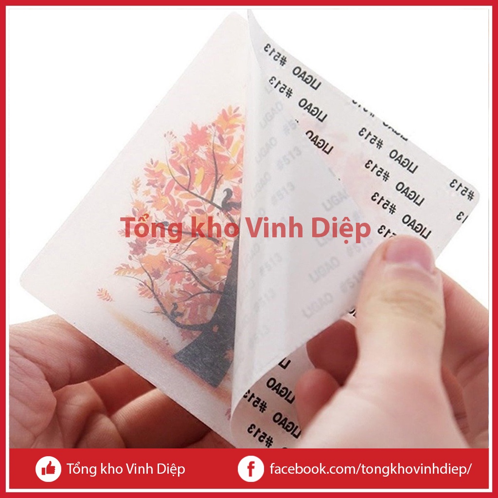 Móc dán tường phòng tắm, nhà bếp chịu lực tốt, họa tiết 3D