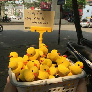 CÀI TÓC HÌNH CON VỊT SIÊU CUTE,DỄ THƯƠNG