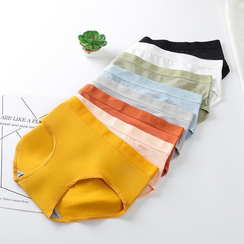 Quần Lót Nữ Cotton Trơn Kháng Khuẩn, Mềm Mại, Thoáng Mát, Co Giãn 4 Chiều - Subo Shop