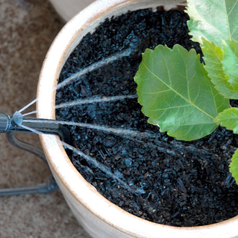 Đầu Tưới 4 Cánh Antelco Hàng ÚC