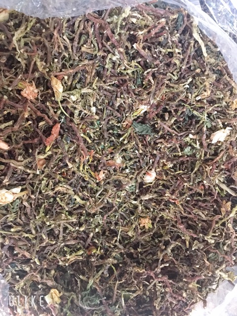 SỈ 4KG TRÀ SƠN MẬT HỒNG SÂM NHIỀU HOA NHÀI