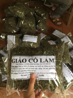 giảo cổ lam