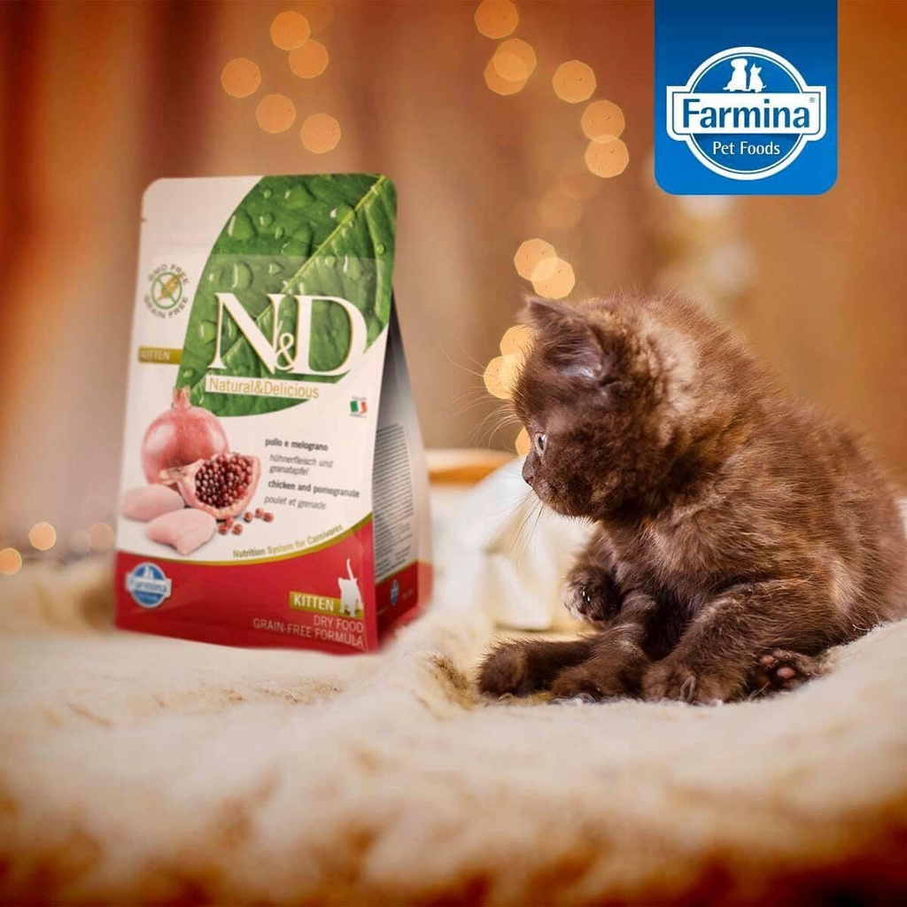 Farmina N&D PRIME KITTEN- THỊT GÀ & LỰU CHO MÈO CON, ĐANG MANG THAI HOẶC CHO CON BÚ