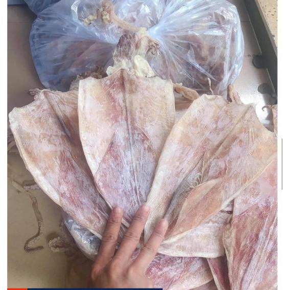 (siêu rẻ) chỉ 175k/11 con mực câu vân đồn to bằng bàn tay, ngon, ngọt, dày mình | BigBuy360 - bigbuy360.vn