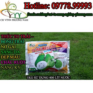 SIÊU TO TRÁI MÃNG CẦU 1KG