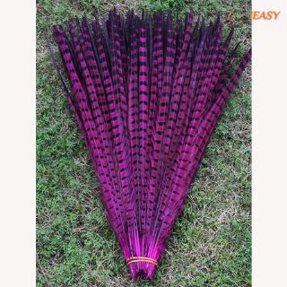 10 lông vũ nhiều màu 30-35cm