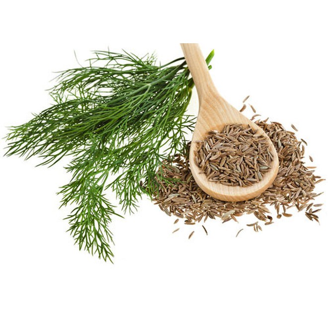 Hạt giống thìa là ( túi ríp)