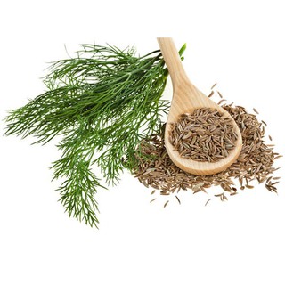 Hạt giống thìa là ( túi ríp)