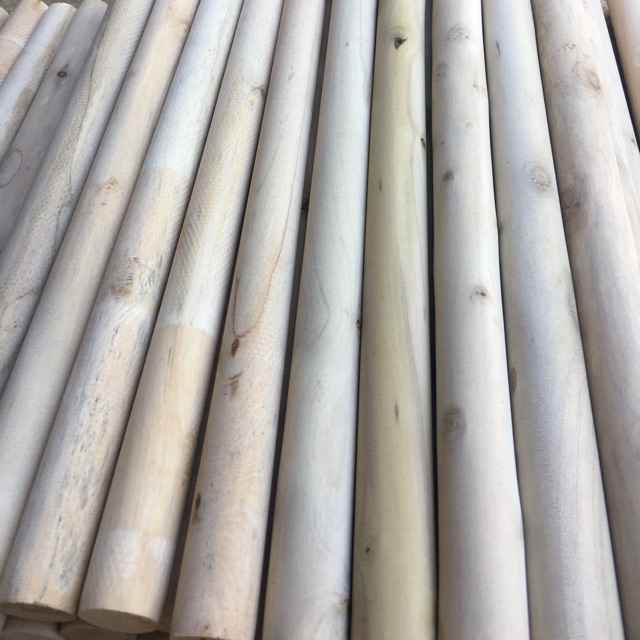 Combo 20 thanh phi 2.2cm và 20 thanb phi 3, 10 thanh phi 4 dài 1m2