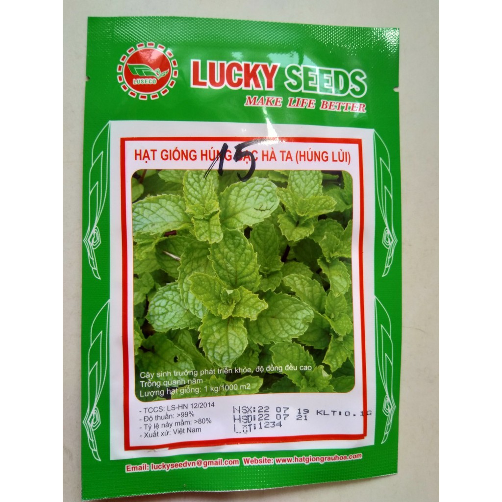 Hạt giống húng bạc hà ta