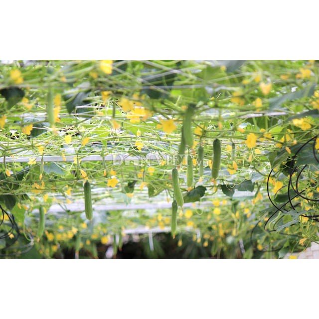 200M dây kẽm 1li5 làm giàn leo trồng cây, quấn buộc hàng hóa, đồ dùng gia đình. làm vườn