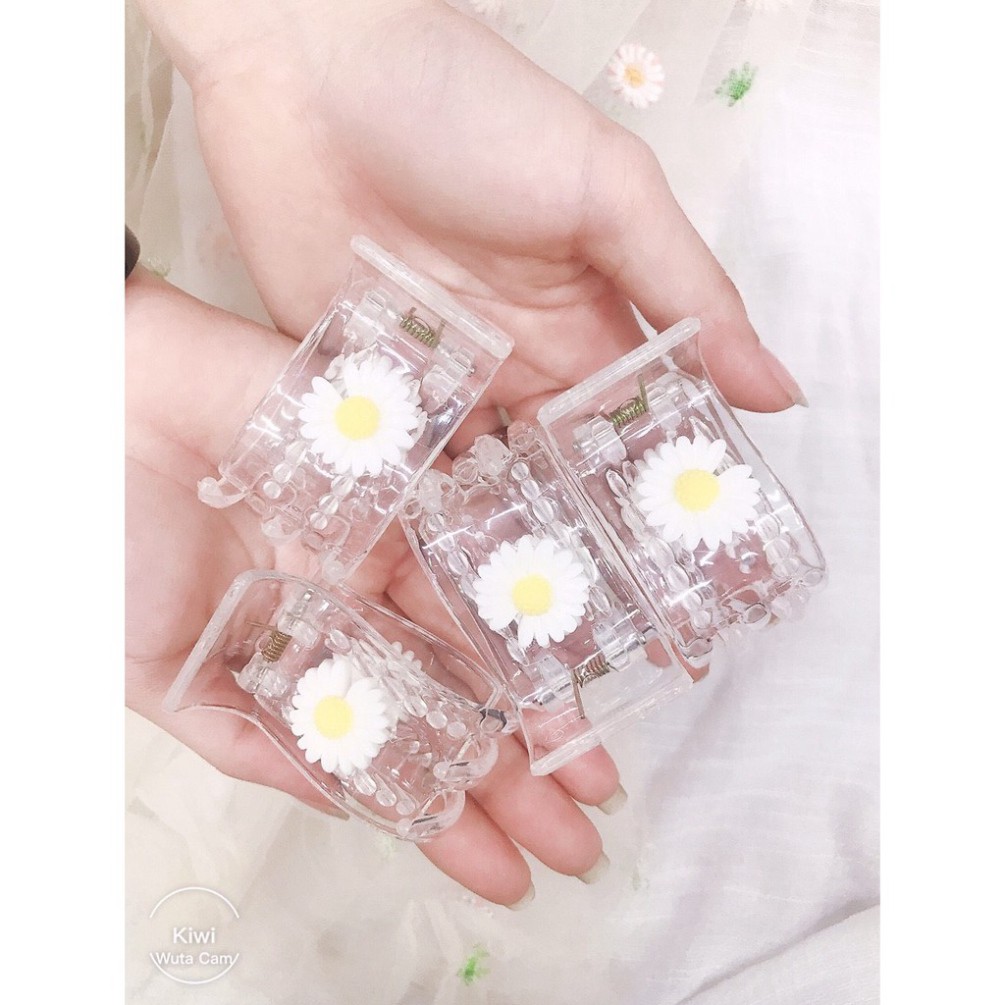 Kẹp tóc🌸 kẹp càng cua 5 răng 🌸 Hoa cúc? Hot