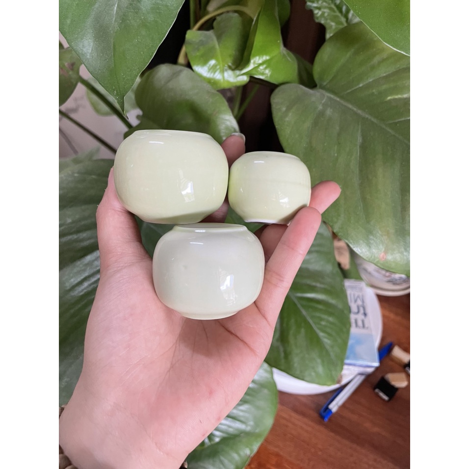Cóng chim chào mào, một màu, cóng bạch định