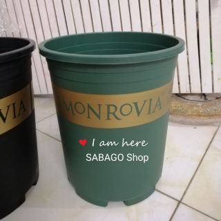 Chậu nhựa Monrovia loại 5 Galon hàng VN chất lượng cao