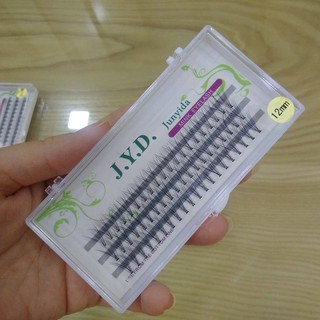 MI CHÙM NỐI MI