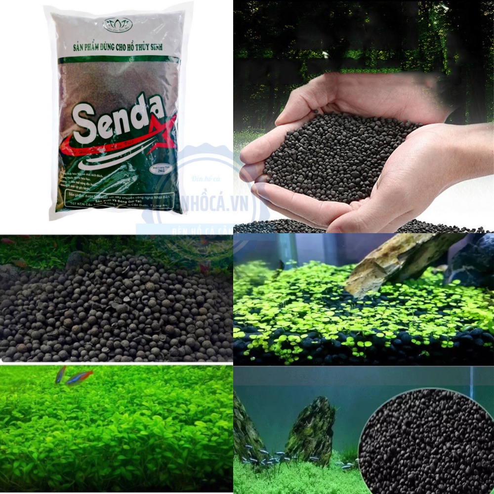 Đất thủy sinh SENDA chuyên dùng cho cây thủy sinh
