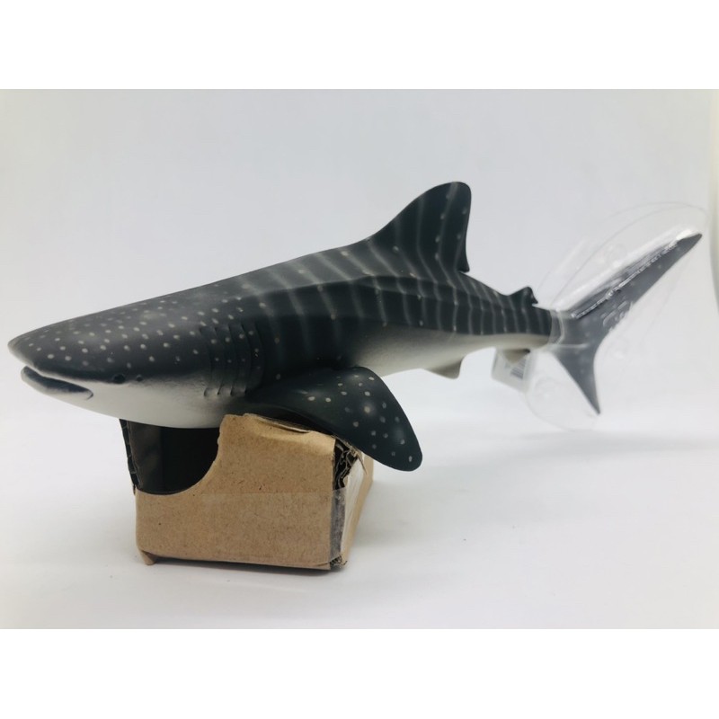 Mô hình động vật , đồ chơi con vật CollectA chính hãng Cá mập voi 88453 - Schleich House