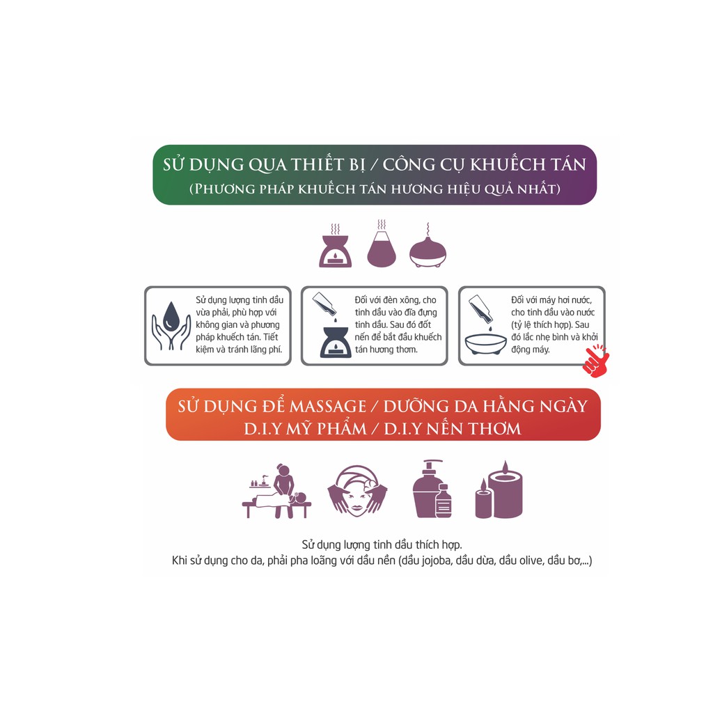 Tinh dầu Bạc Hà Nhật Bản – Essenbee – 20ml