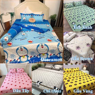 Chăn hè đẹp trần bông cotton poly sét 5 món (Được lựa mẫu)