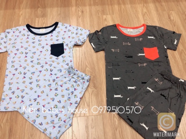 Combo 2 bộ đồ bé trai hàng Gymboree made in VietNam