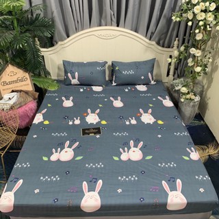 Ga cotton chống thấm m6-2m(15-20p)