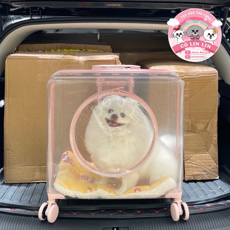 Vali vuông đại trong suốt cho thú cưng có cửa tròn 50*45*28cm